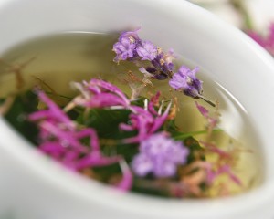 herbal-tea-cup