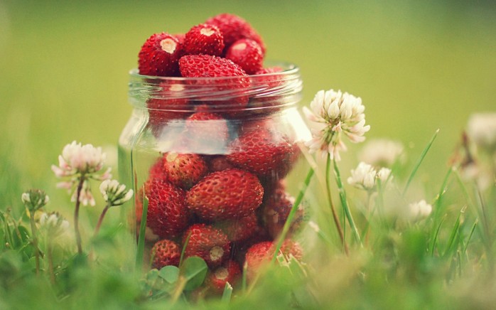 wild-strawberries-large